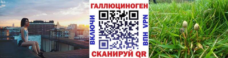 Галлюциногенные грибы MAGIC MUSHROOMS  kraken рабочий сайт  Чкаловск  продажа наркотиков 